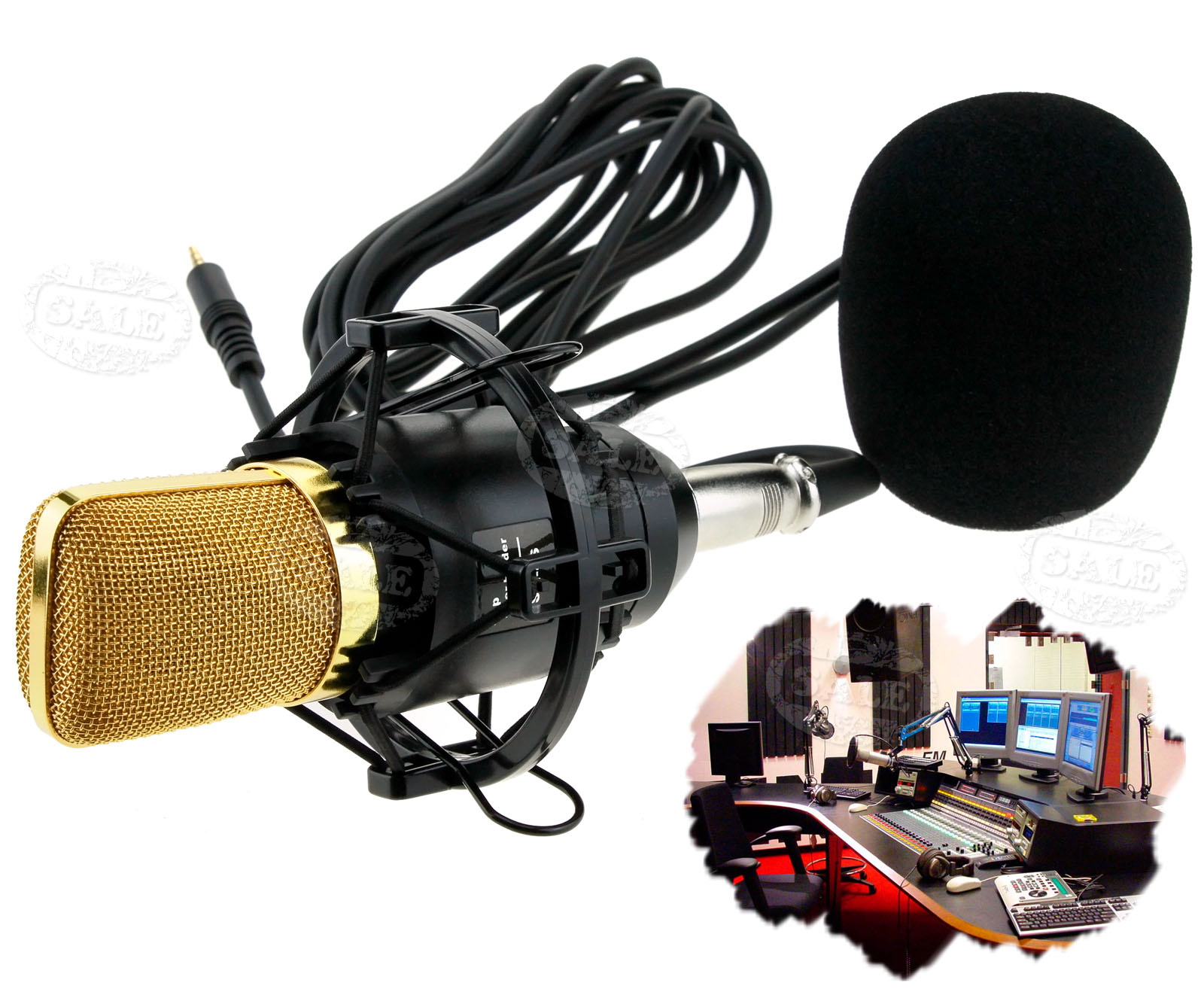 Studio Standard Anti Wind Recording Large Condenser Element Microphone Full Set eBay