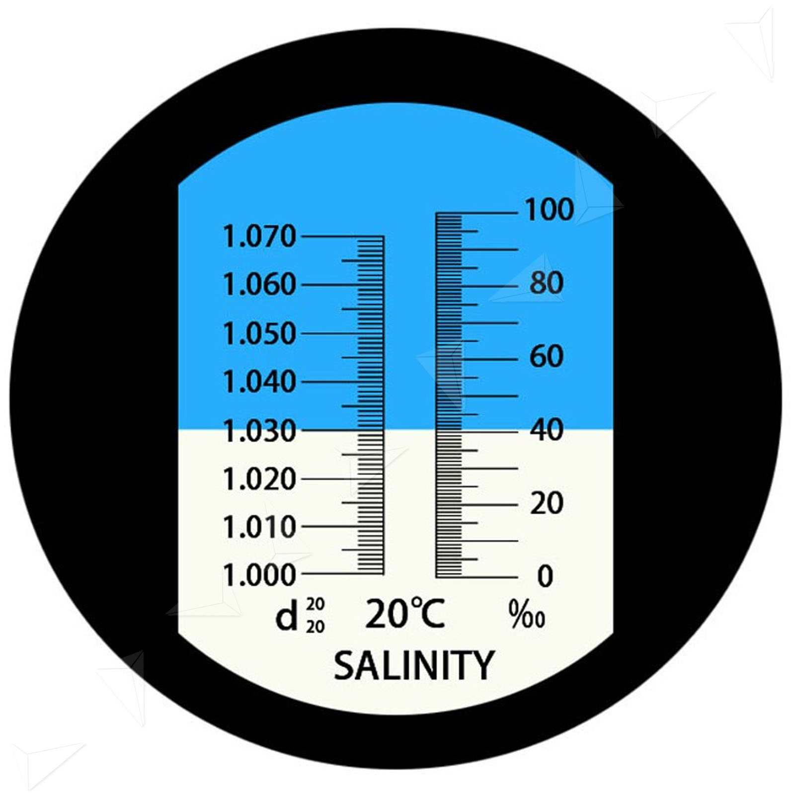 0 10 salinity salt