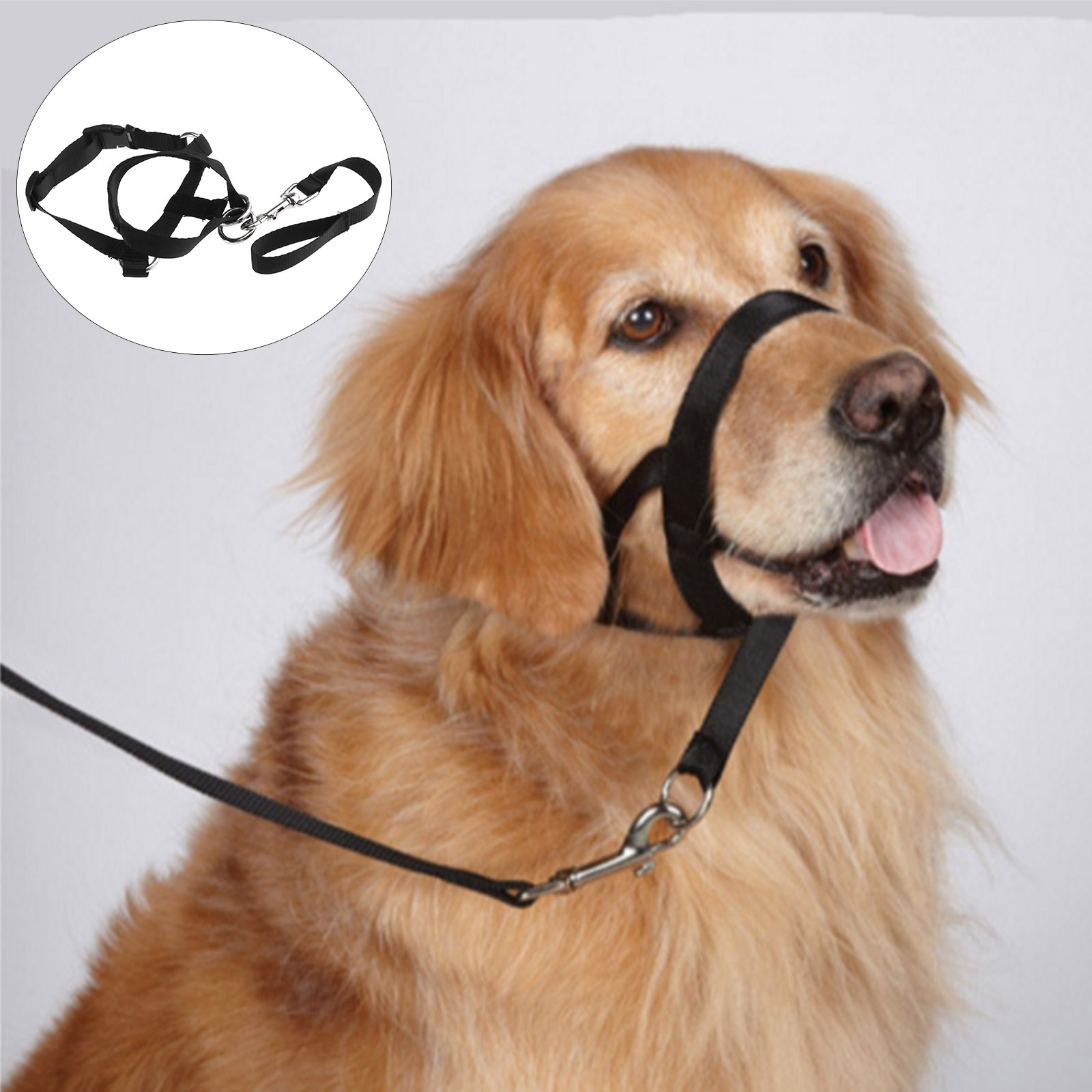 1x Erziehungsgeschirr Halfter Maulschlaufe Hundehalfter Hund Mask