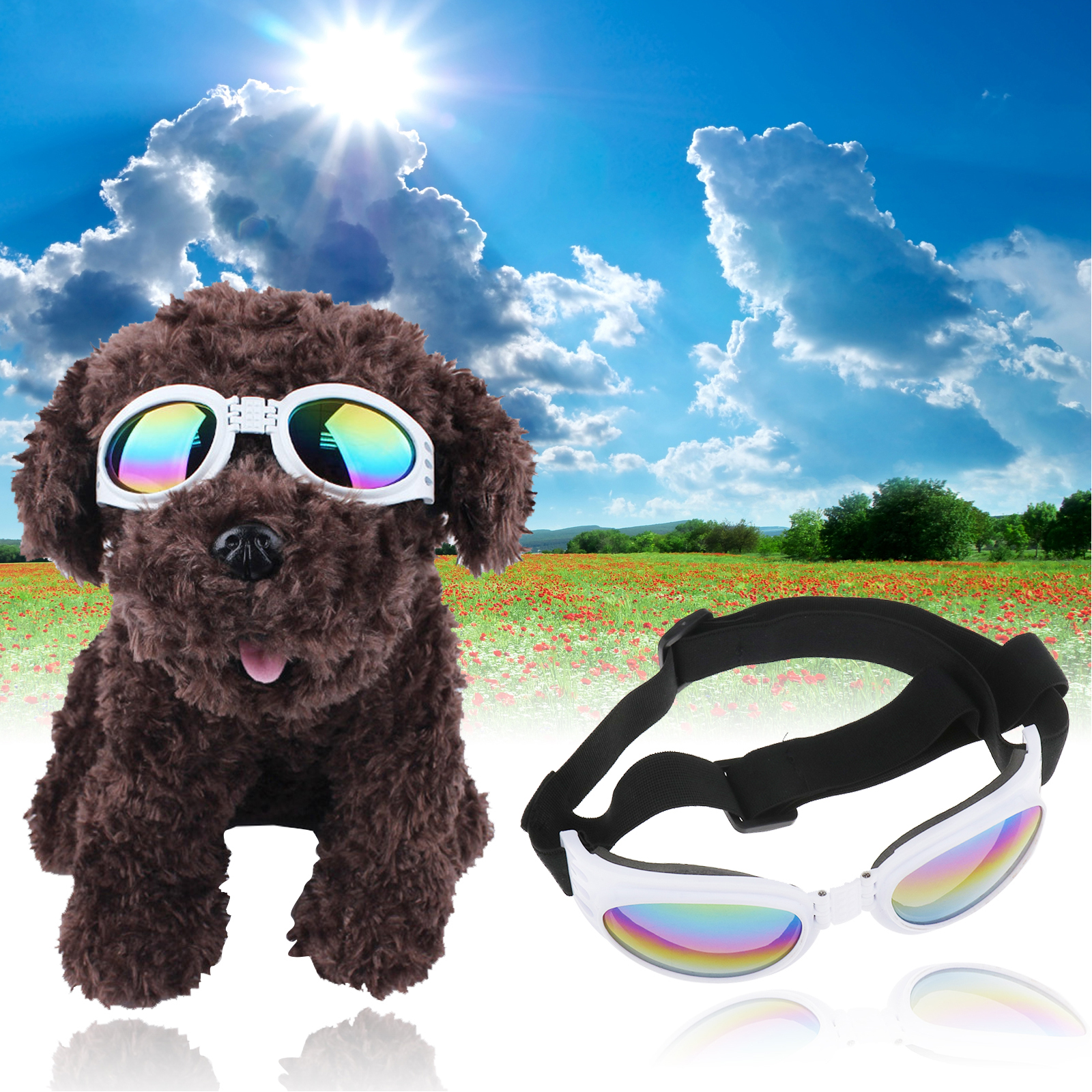Dog Supplies Eye Protect UV Goggles Sunglasses for Pet Dog with Anti