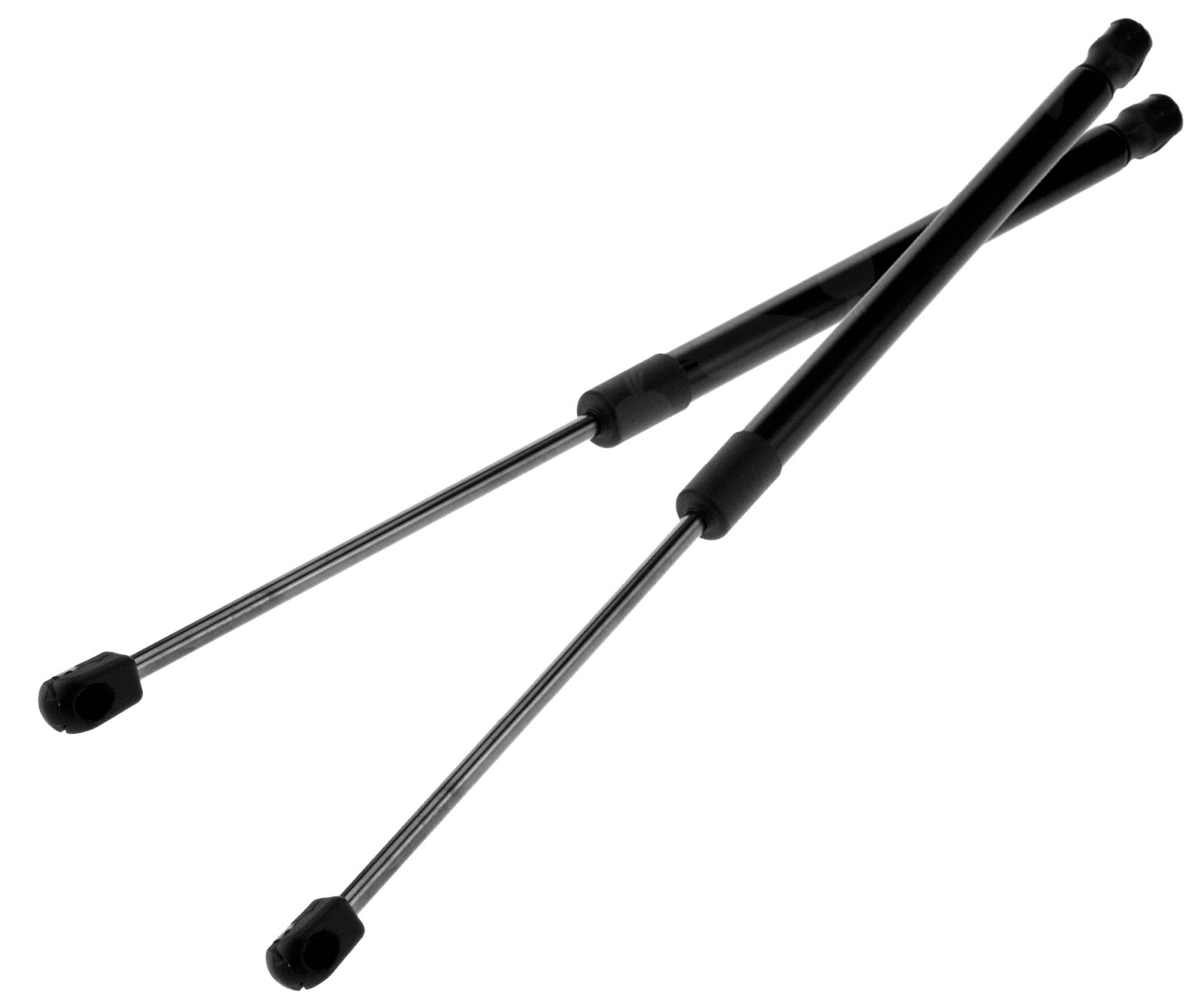 Boot struts ford focus 2005 #2