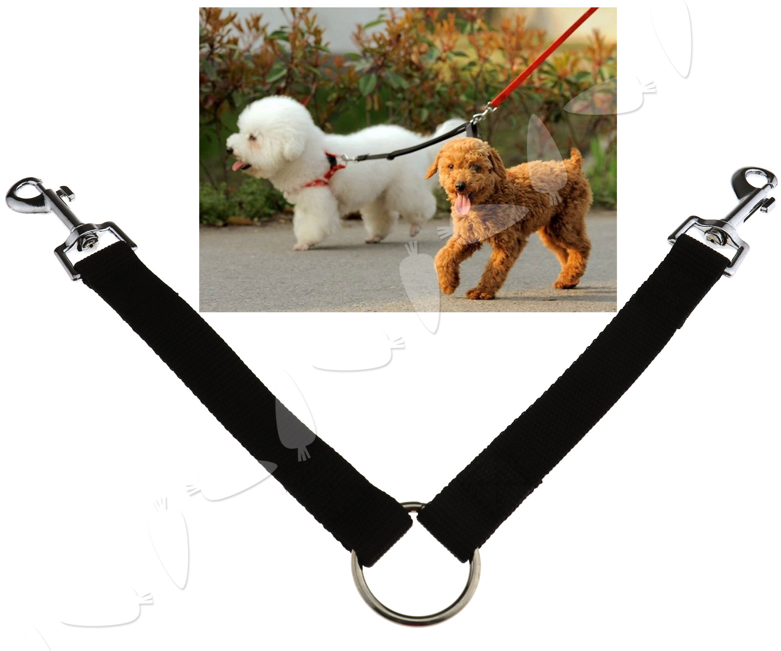 tandem leash for dogs