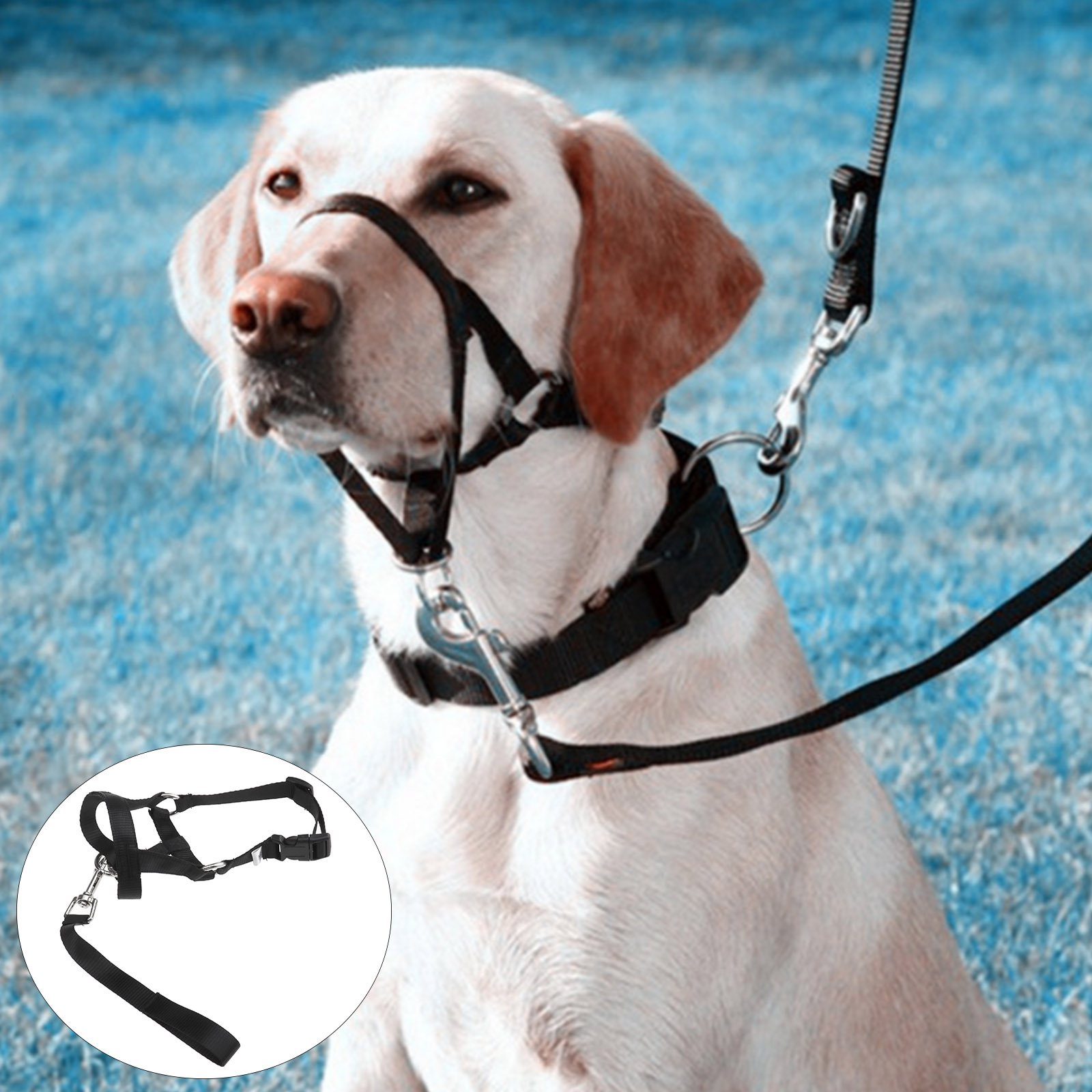 1x Hundehalfter Erziehungsgeschirr Hund zieht Halfter Maulschlaufe Hund