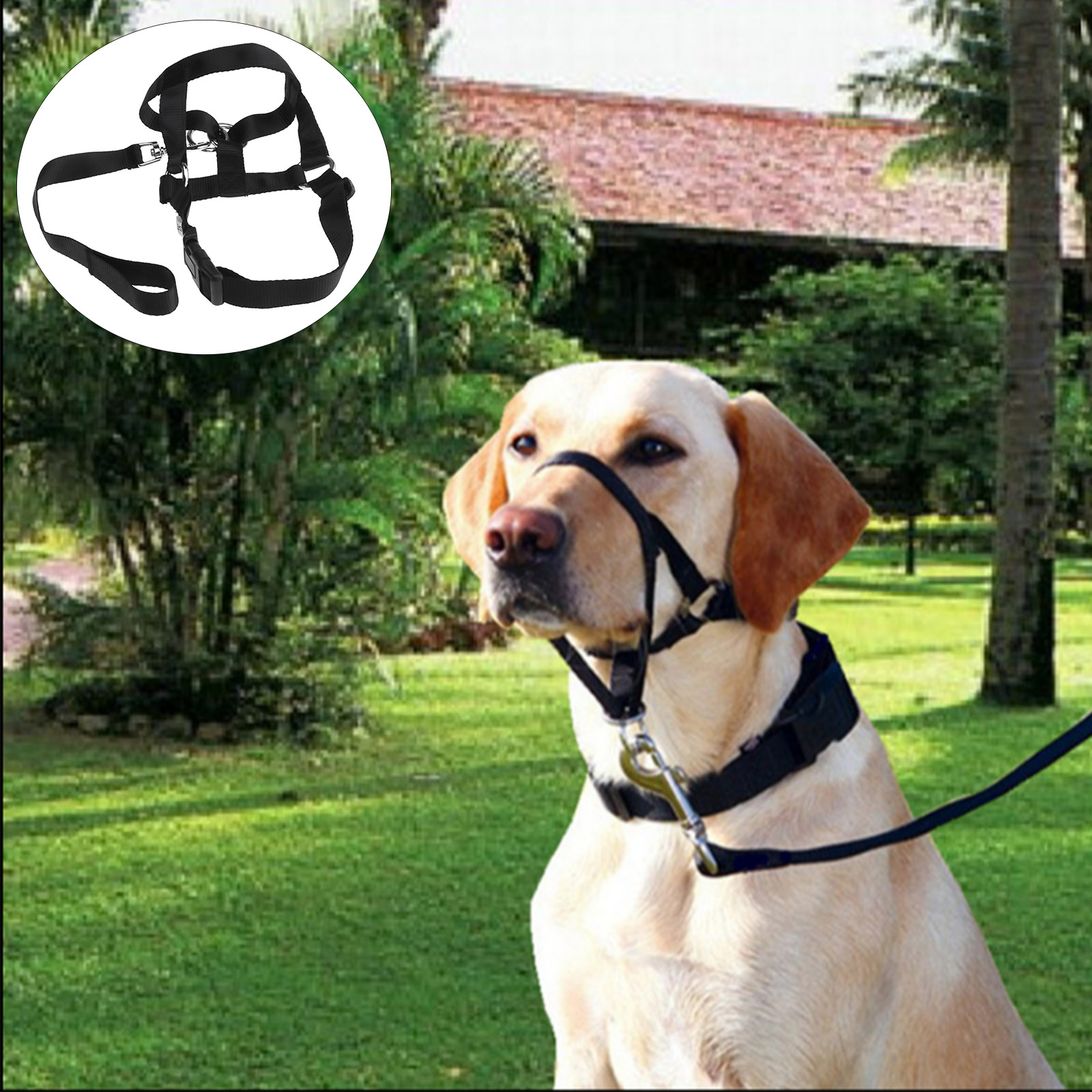 1x Hundehalfter Erziehungsgeschirr Hund zieht Halfter Maulschlaufe Hund