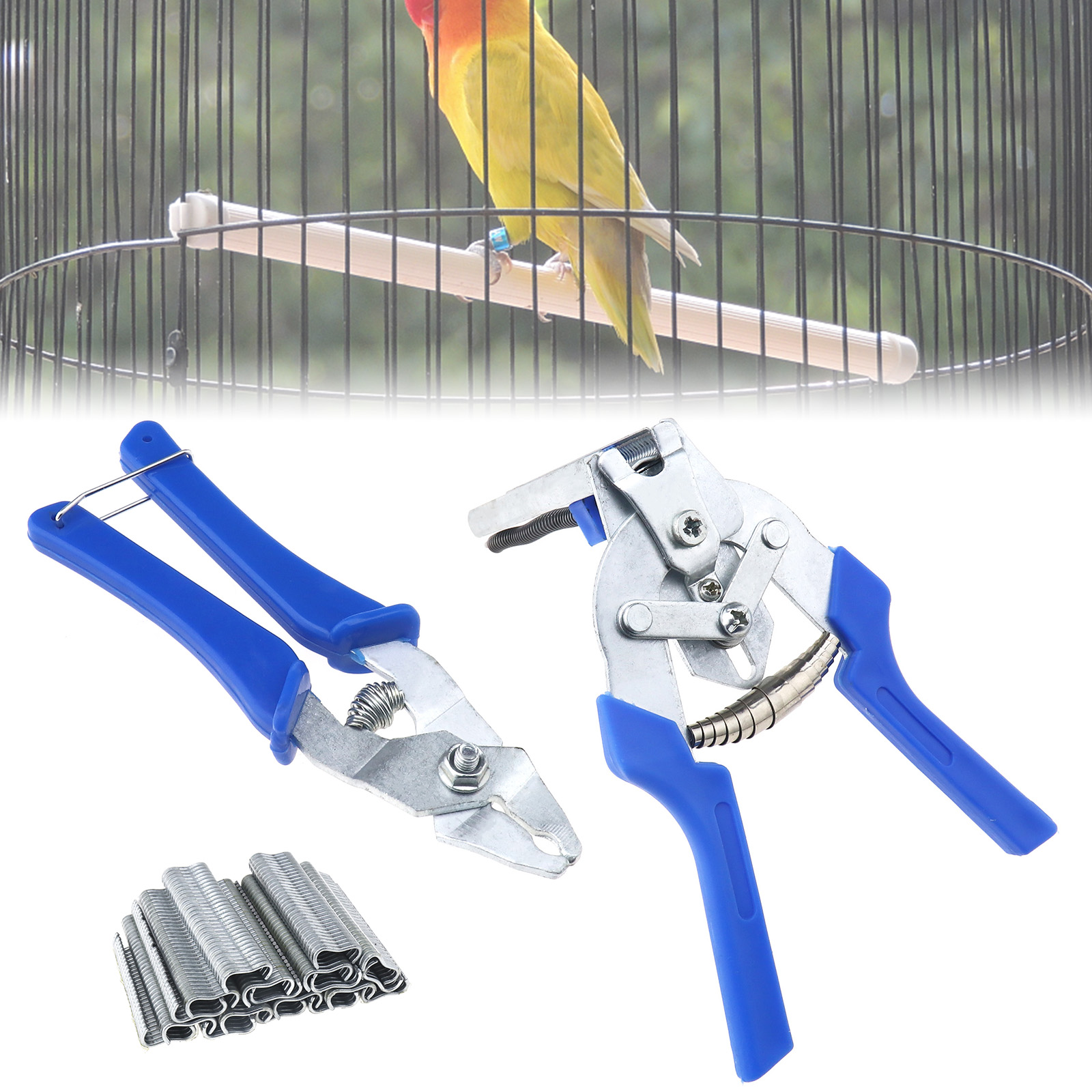 Blue Fencing Plier 600x Hog Ring M Clips for Mesh Cage Wire Aviary Netting for sale online eBay