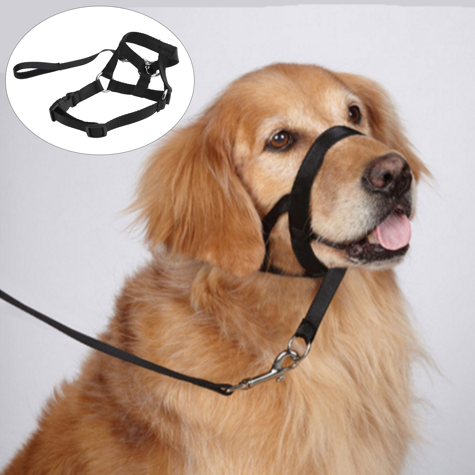 halter harness
