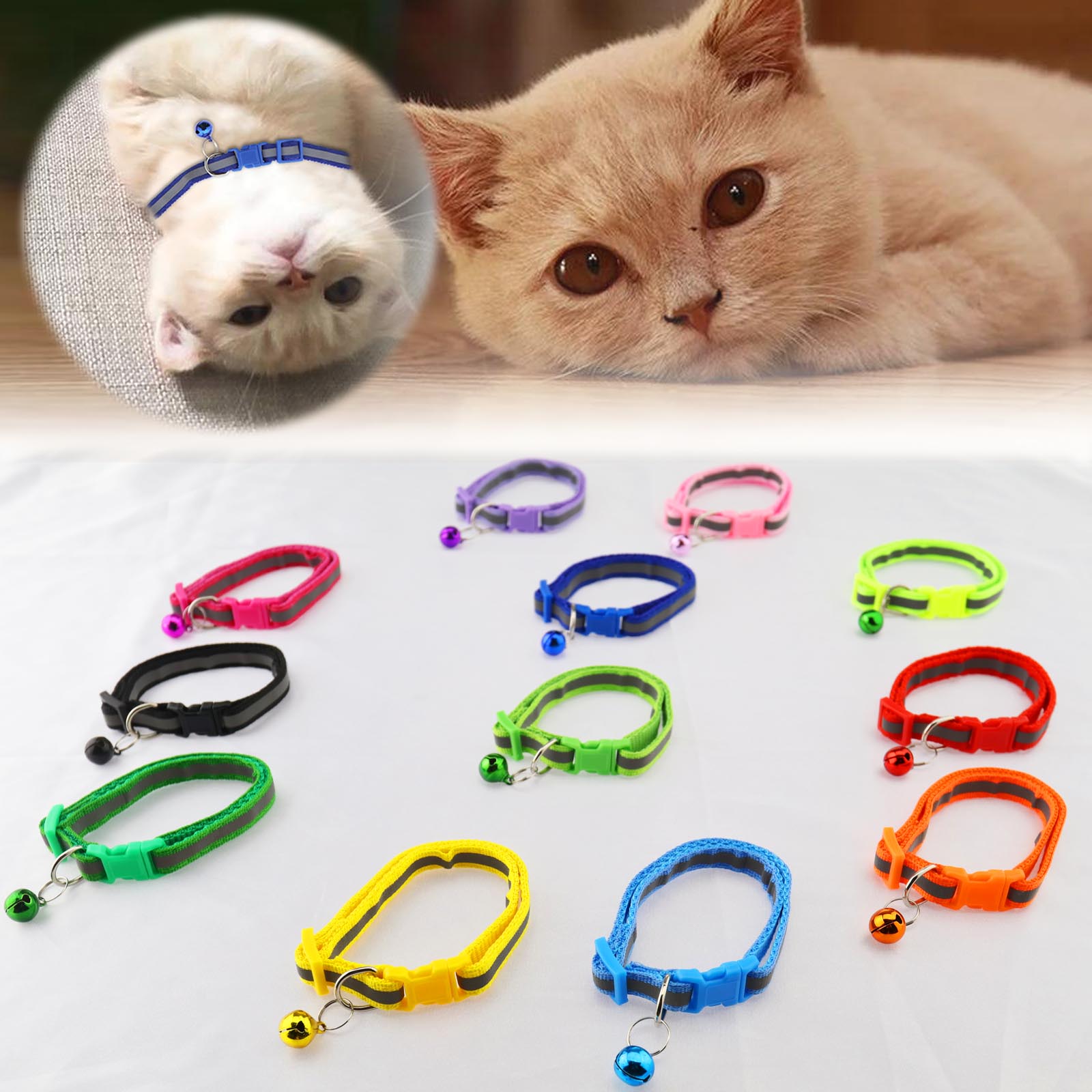 Do cats need breakaway collars pokbasketball