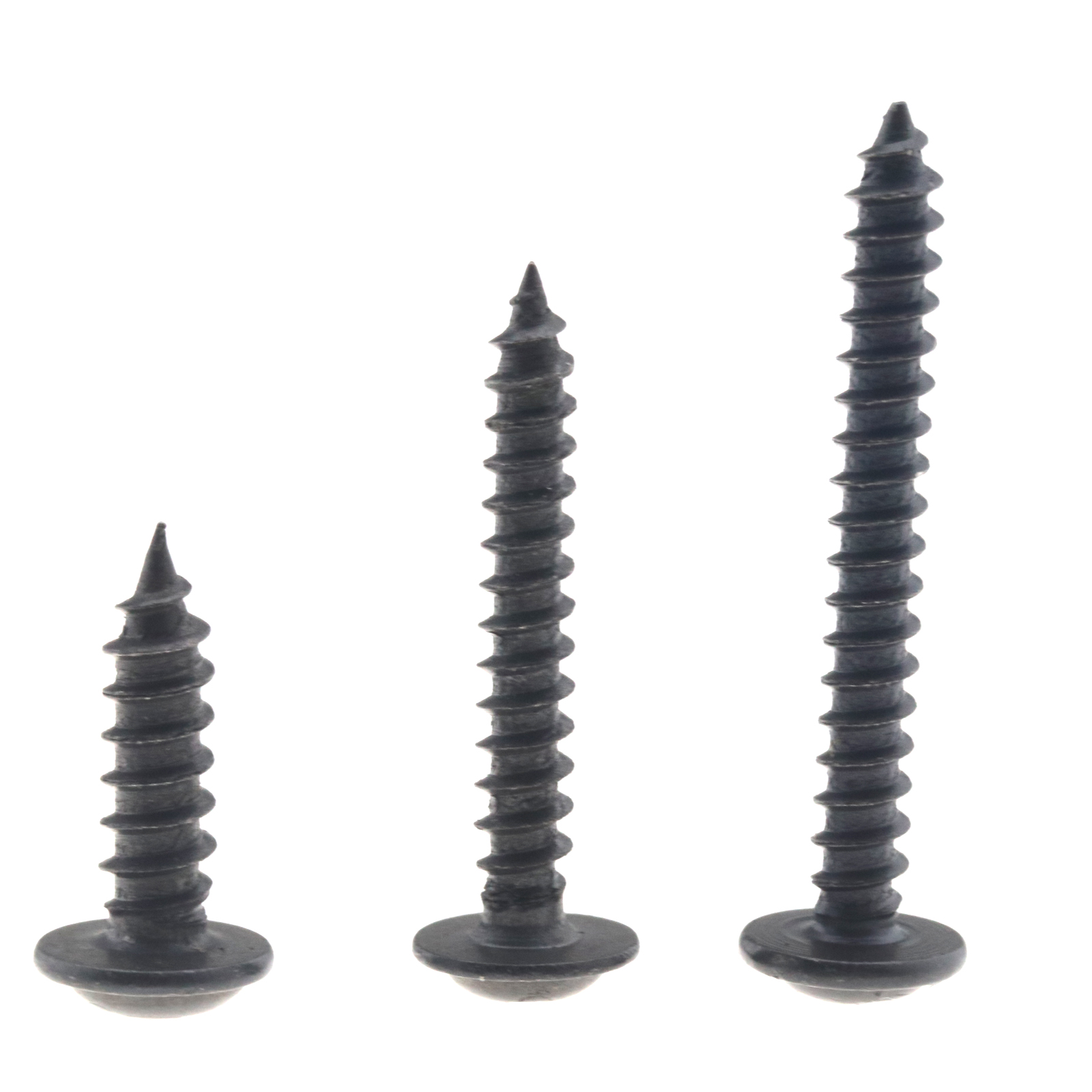 700 Assorted Pieces Stainless Steel Round Head Self Tapping Screw Box 8