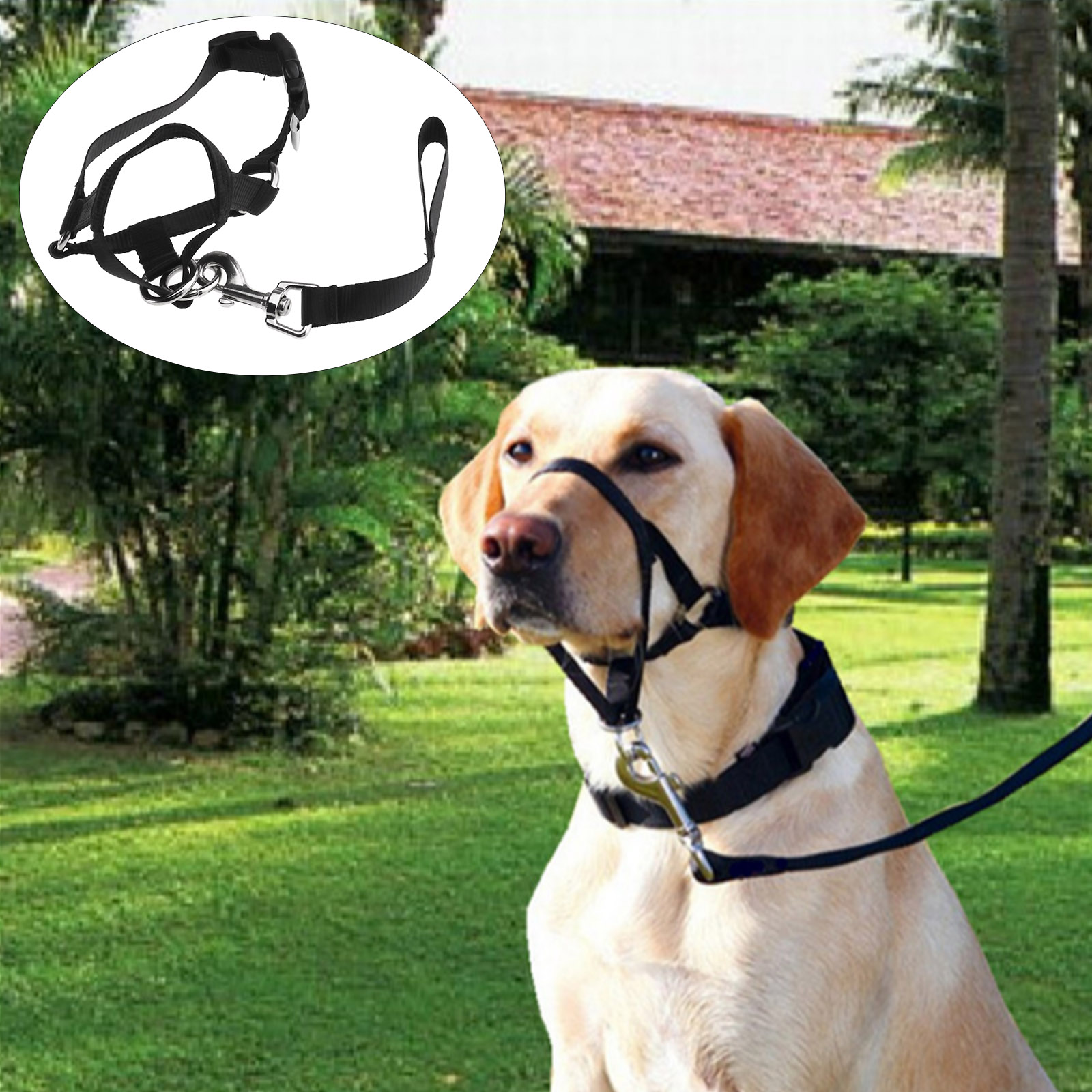 DOG MUZZLE HALTI Head Collar Stop Dog Pulling Halter Training Nose