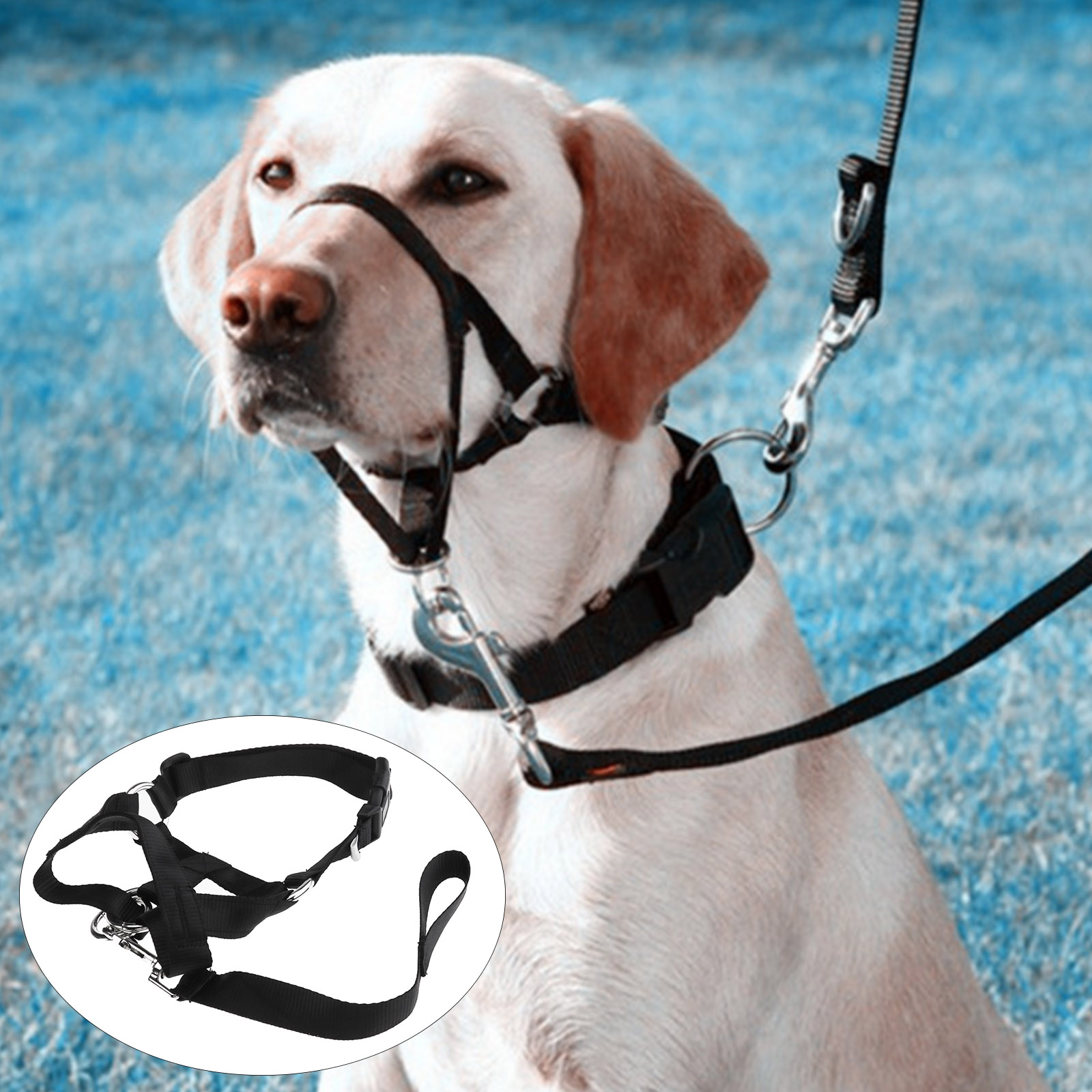 dog muzzle halti head collar stop dog pulling halter training nose reigns large image 2