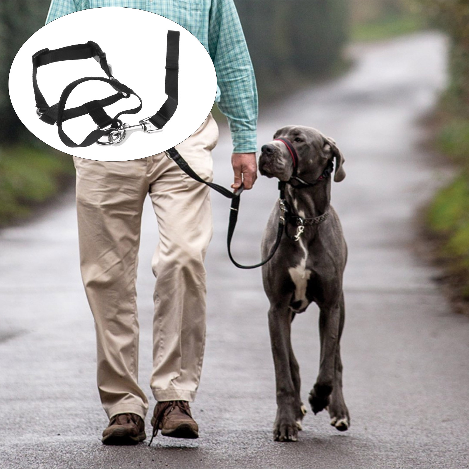 S/M/L/XL Puppy Halter Harness Stop Dog Pulling Walk Easy Lead Pets